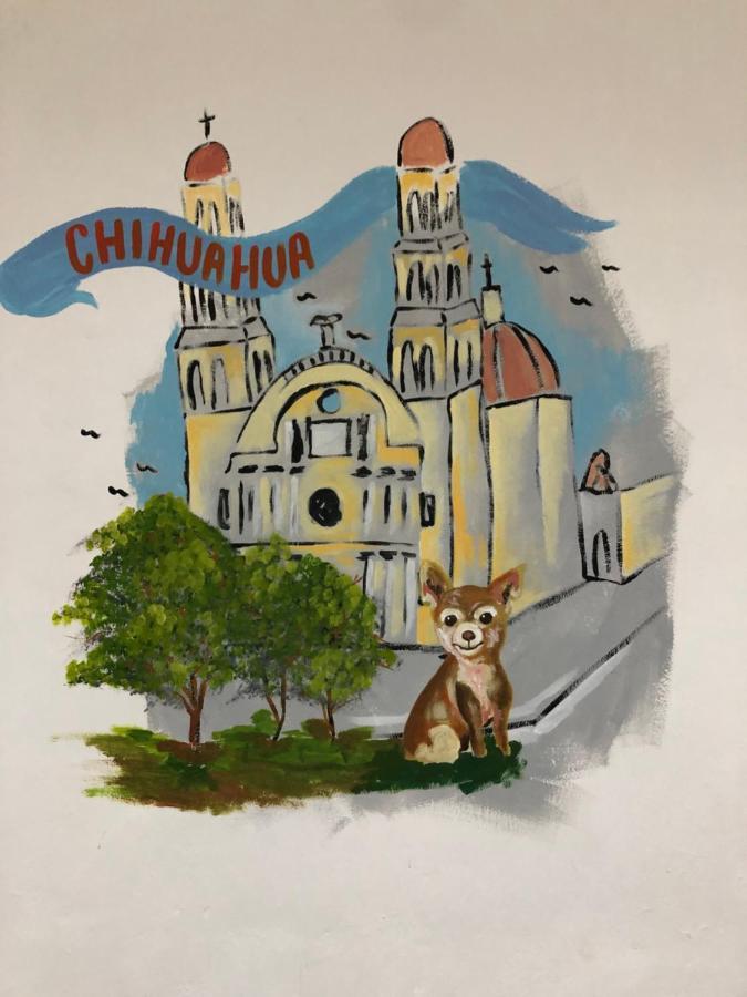 Séjour chez l'habitant Leo Downtown *